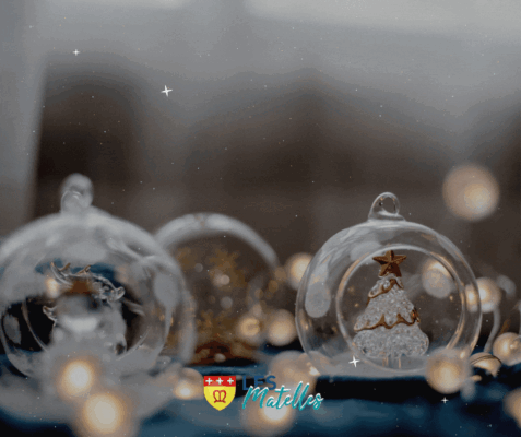 Lire la suite à propos de l’article JOYEUSES FÊTES !