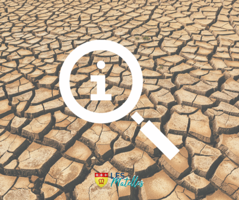 Lire la suite à propos de l’article SINISTRES LIÉS À LA SECHERESSE AU COURS DE L&rsquo;ANNÉE 2023