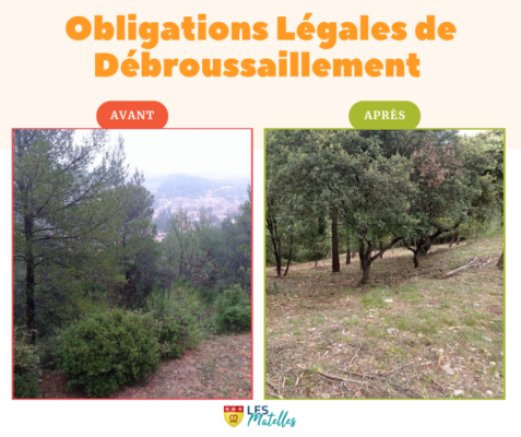 Lire la suite à propos de l’article TRAVAUX | OBLIGATIONS LÉGALES DE DÉBROUSSAILLEMENT