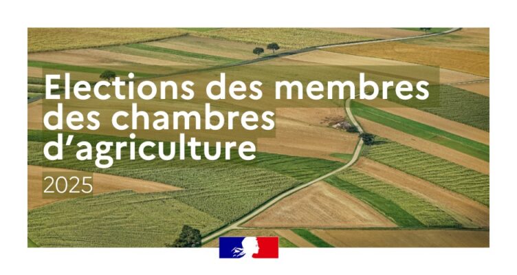 Lire la suite à propos de l’article ELECTIONS DES MEMBRES DES CHAMBRES D&rsquo;AGRICULTURE