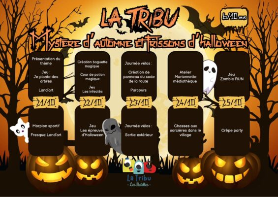 Lire la suite à propos de l’article Programme des vacances