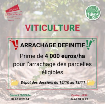 Lire la suite à propos de l’article ARRACHAGE DÉFINITIF VITICULTURE – 2024