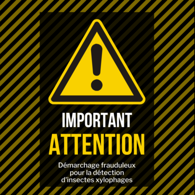 Lire la suite à propos de l’article ALERTE À LA POPULATION : Démarchage frauduleux pour la détection d&rsquo;insectes xylophages